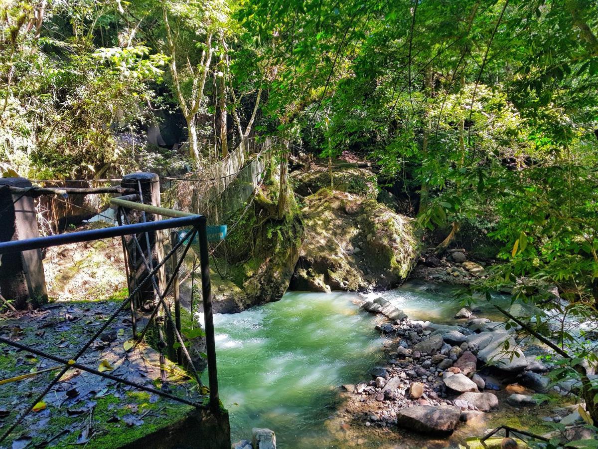 Tower Studio In The Treetops In Altos Del Maria Panama El Picacho Eksteriør bilde